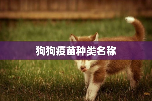 狗狗疫苗種類名稱