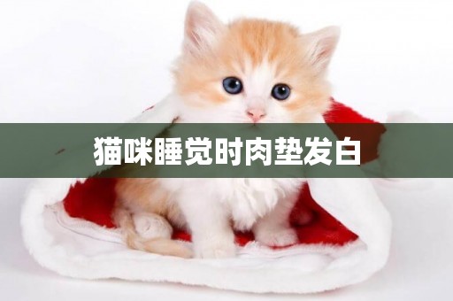 貓咪睡覺時肉墊發白