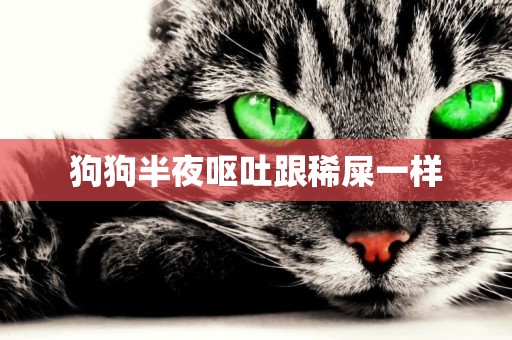 狗狗半夜嘔吐跟稀屎一樣