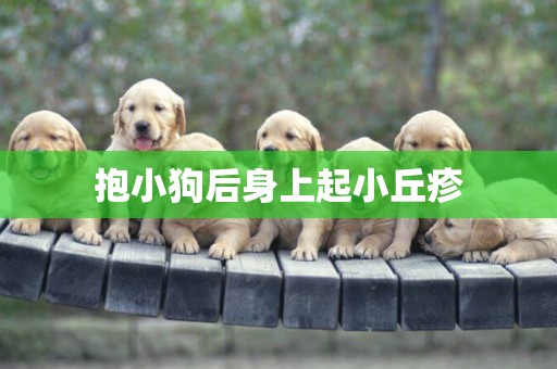 抱小狗后身上起小丘疹