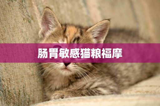 腸胃敏感貓糧福摩