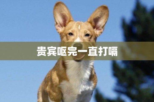 貴賓嘔完一直打嗝