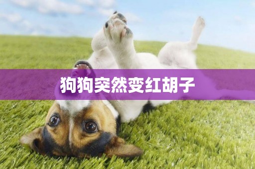 狗狗突然變紅胡子