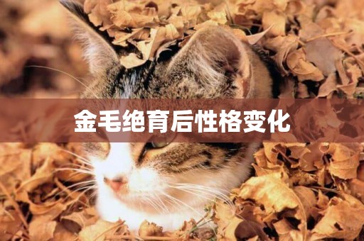 金毛絕育后性格變化