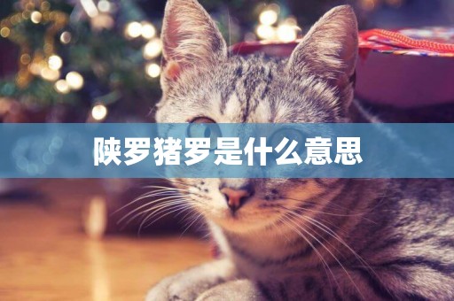 陜羅豬羅是什么意思