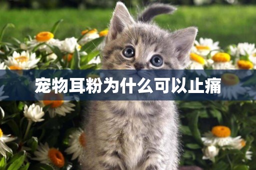 寵物耳粉為什么可以止痛