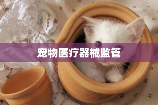 寵物醫療器械監管