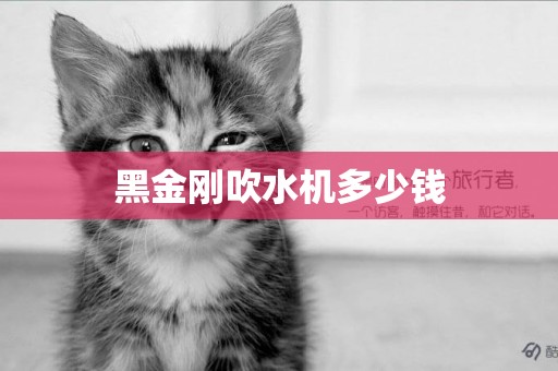 黑金剛吹水機多少錢