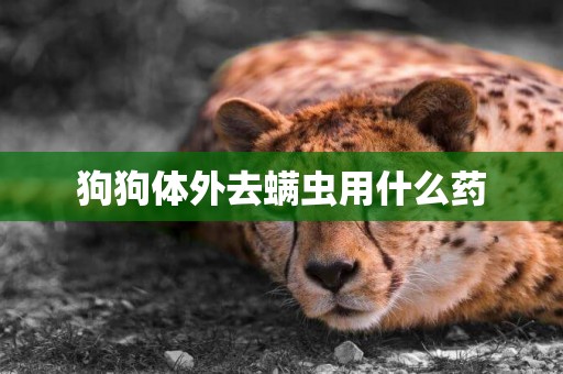 狗狗體外去螨蟲用什么藥
