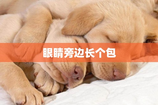 眼睛旁邊長個包