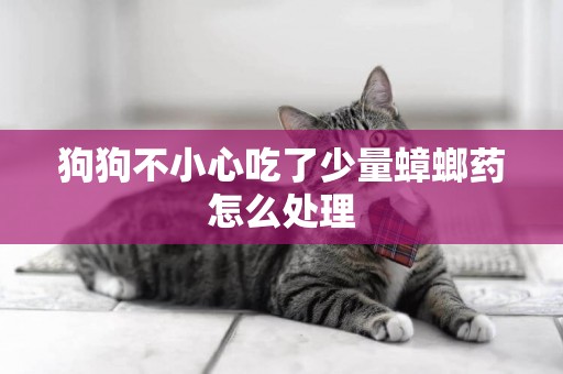 狗狗不小心吃了少量蟑螂藥怎么處理