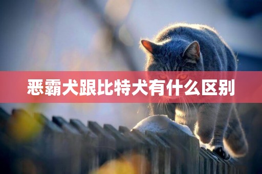 惡霸犬跟比特犬有什么區別