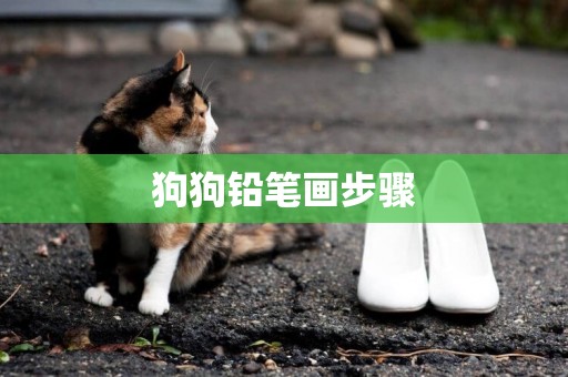 狗狗鉛筆畫步驟