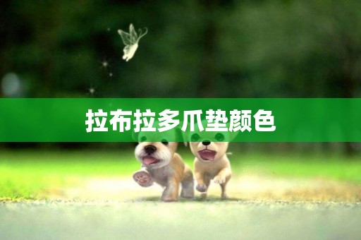 拉布拉多爪墊顏色