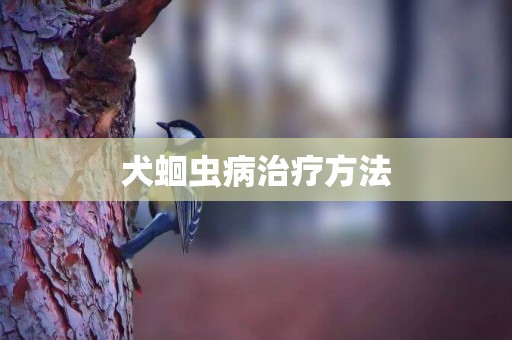 犬蛔蟲病治療方法