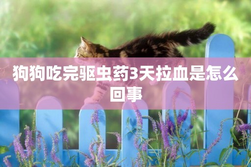 狗狗吃完驅蟲藥3天拉血是怎么回事