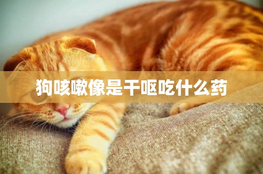 狗咳嗽像是干嘔吃什么藥