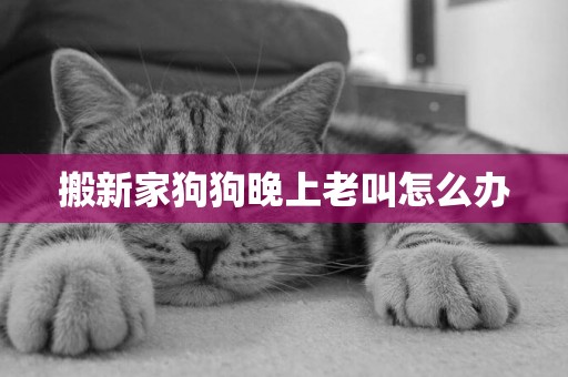 搬新家狗狗晚上老叫怎么辦