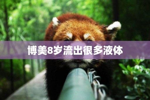 博美8歲流出很多液體