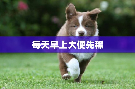 每天早上大便先稀