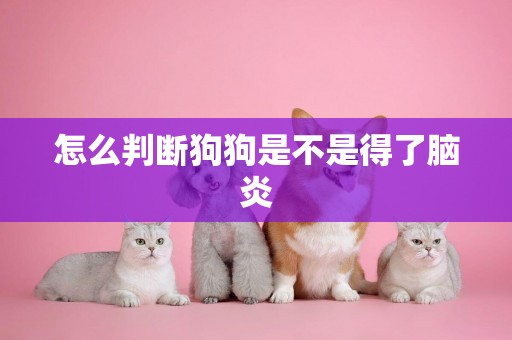 怎么判斷狗狗是不是得了腦炎