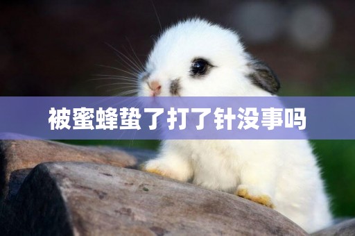 被蜜蜂蟄了打了針沒事嗎