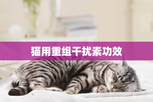 貓用重組干擾素功效