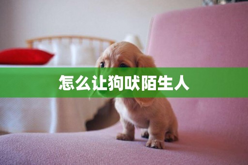 怎么讓狗吠陌生人