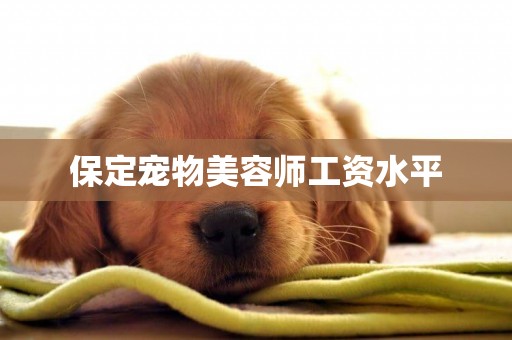 保定寵物美容師工資水平