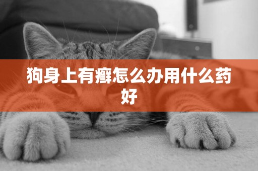 狗身上有癬怎么辦用什么藥好