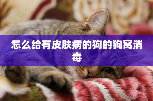 怎么給有皮膚病的狗的狗窩消毒