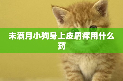 未滿月小狗身上皮屑癢用什么藥