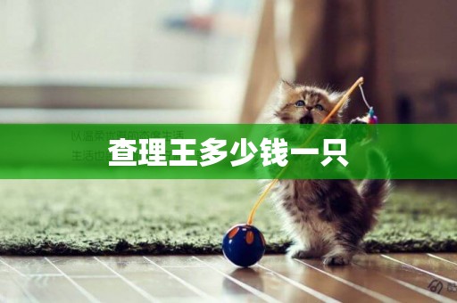 查理王多少錢一只