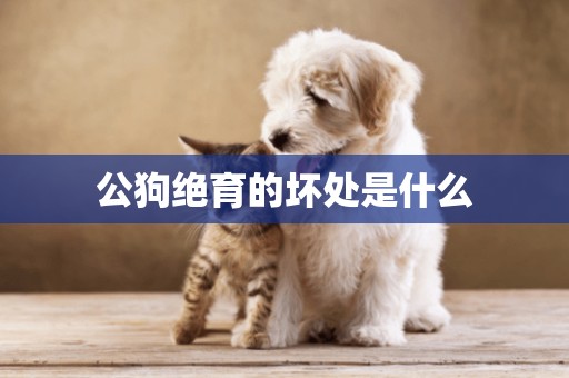 公狗絕育的壞處是什么