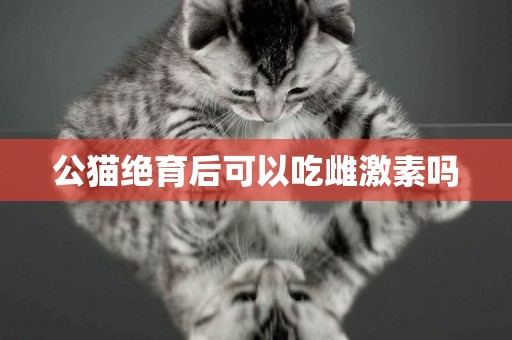 公貓絕育后可以吃雌激素嗎