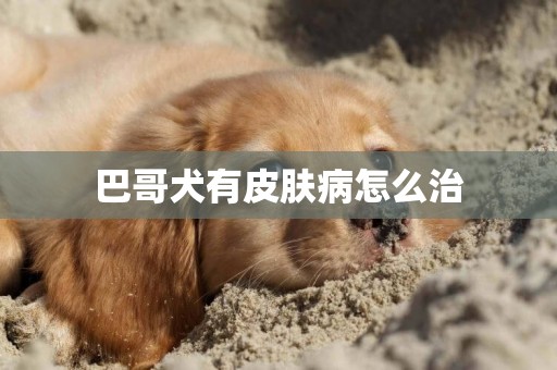 巴哥犬有皮膚病怎么治