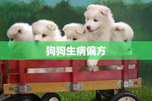 狗狗生病偏方