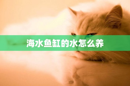 海水魚缸的水怎么養