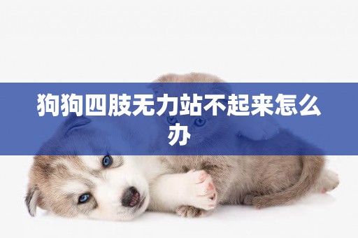 狗狗四肢無力站不起來怎么辦