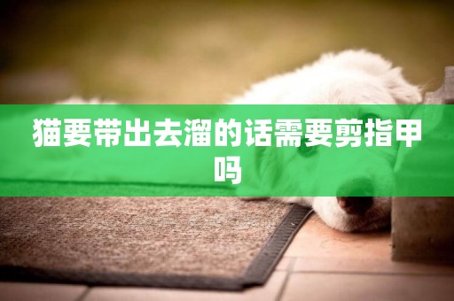 貓要帶出去溜的話需要剪指甲嗎