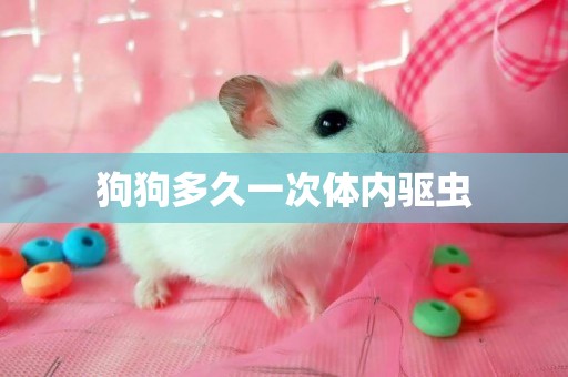 狗狗多久一次體內驅蟲