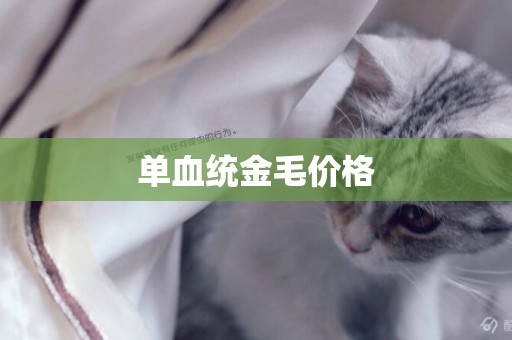單血統金毛價格