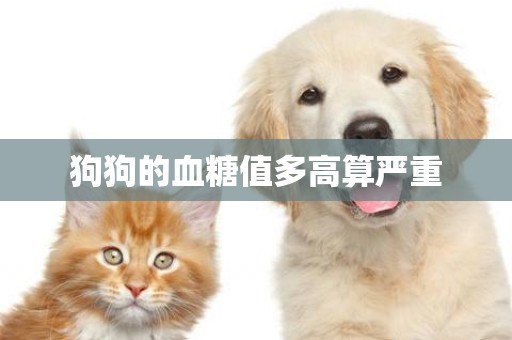 狗狗的血糖值多高算嚴重