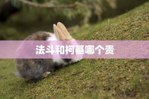 法斗和柯基哪個貴