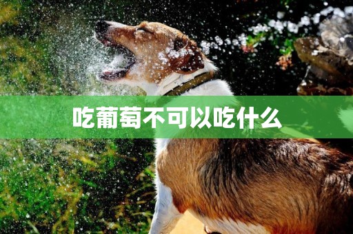 吃葡萄不可以吃什么