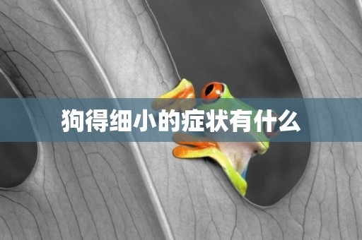 狗得細小的癥狀有什么