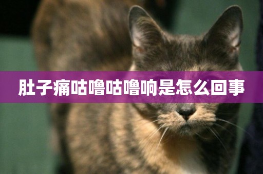 肚子痛咕嚕咕嚕響是怎么回事