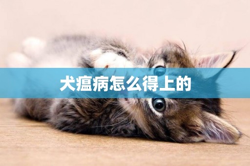 犬瘟病怎么得上的