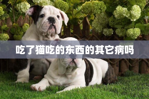 吃了貓吃的東西的其它病嗎