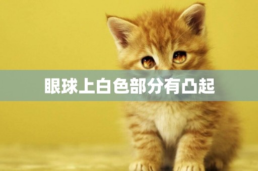 眼球上白色部分有凸起